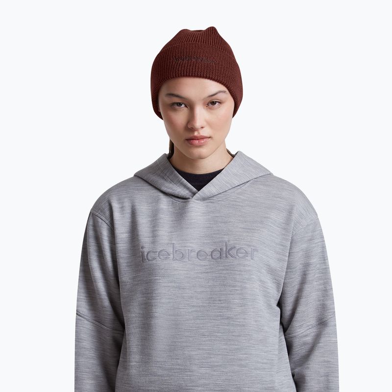 Wintermütze icebreaker Merino All Day Toque Beanie port/bittersweet 5