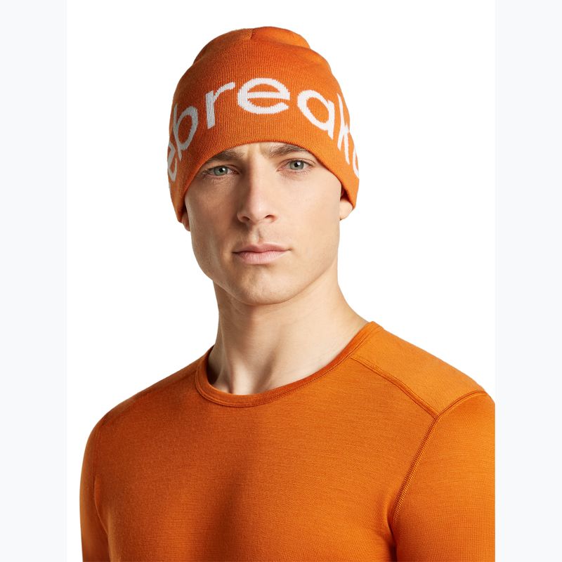 Wintermütze icebreaker Merino Icebreaker Beanie spice/ecru heather 3