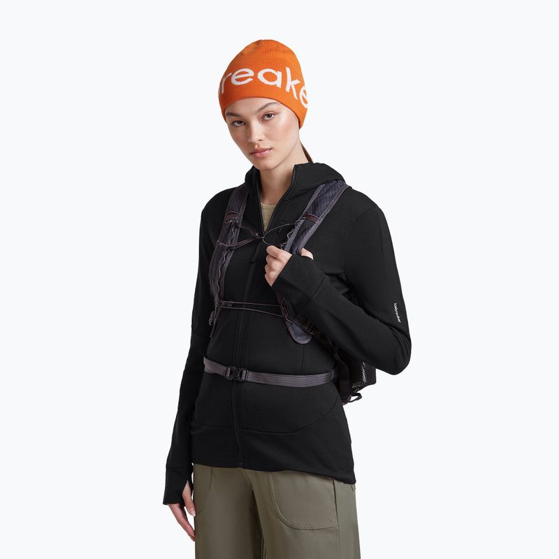 Wintermütze icebreaker Merino Icebreaker Beanie spice/ecru heather 5
