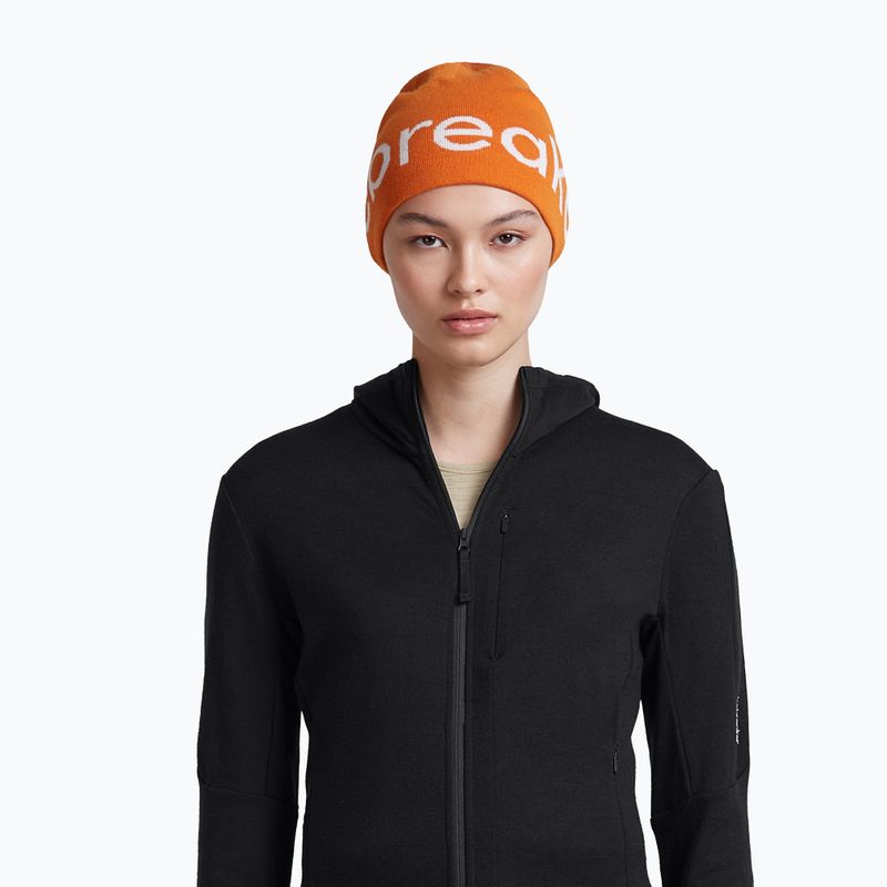 Wintermütze icebreaker Merino Icebreaker Beanie spice/ecru heather 6