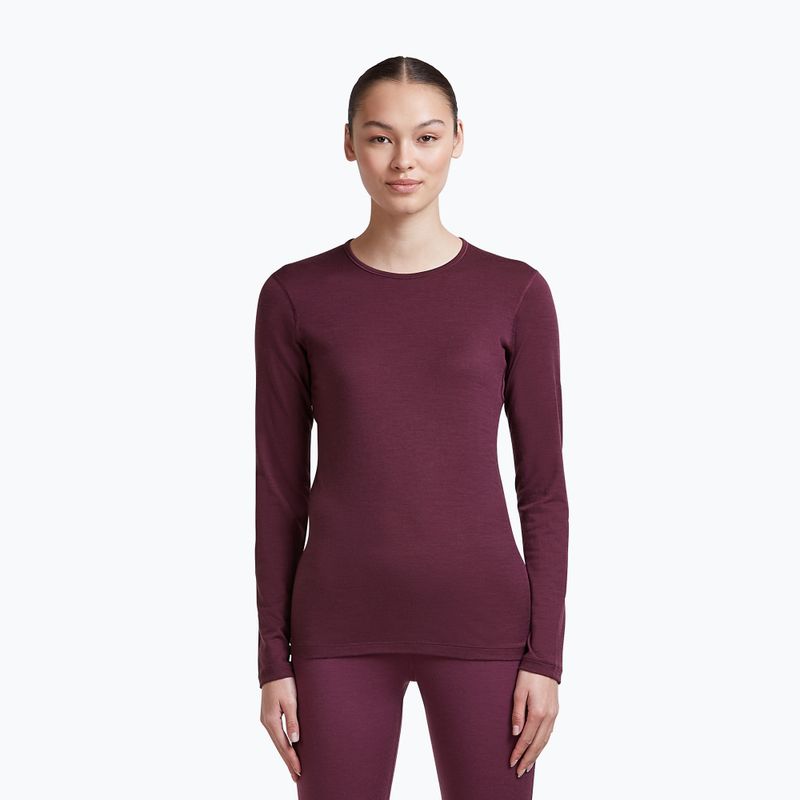 Damen-Funktionssweatshirt Icebreaker 200 Oasis Crewe Dark Berry