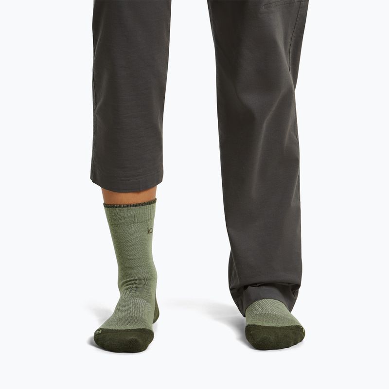 Damensocken Icebreaker Merino Hike+ Light Crew lichen/dark loden 3