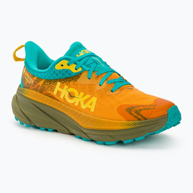 Herren Laufschuhe HOKA Challenger ATR 7 GTX goldgelb/avocado
