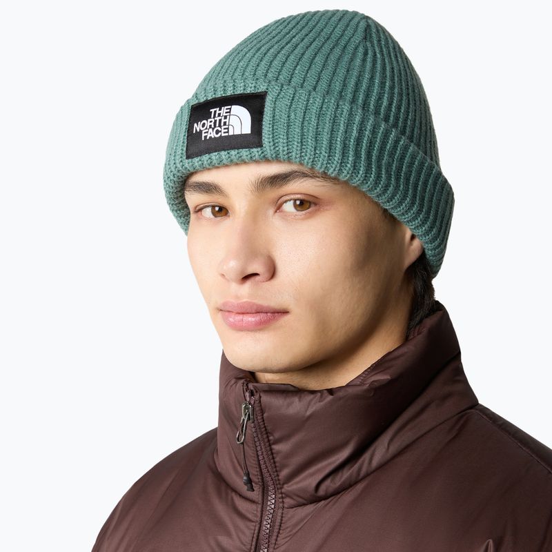 The North Face Salty dunkel Salbei Winter Mütze 4