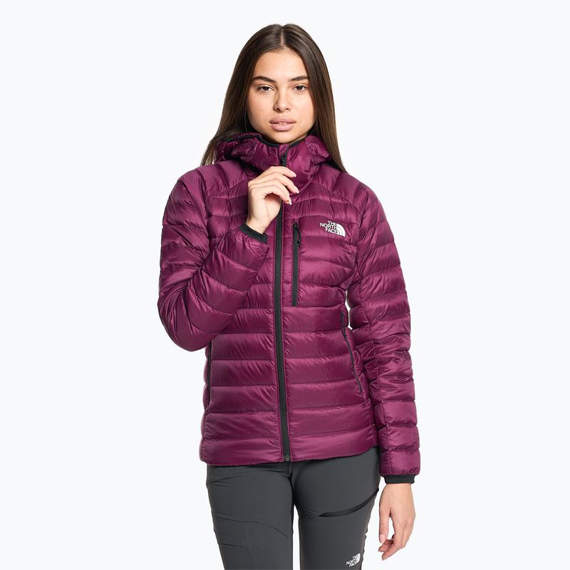 Damen Winterjacke The North Face Summit Breithorn Hoodie Boysenberry