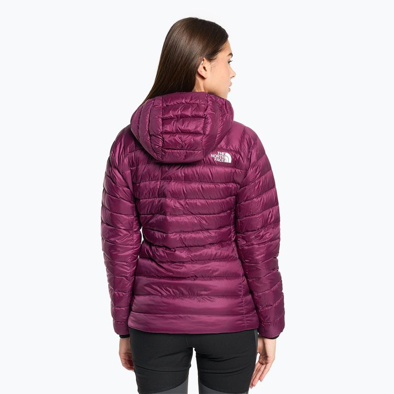 Damen Winterjacke The North Face Summit Breithorn Hoodie Boysenberry 2
