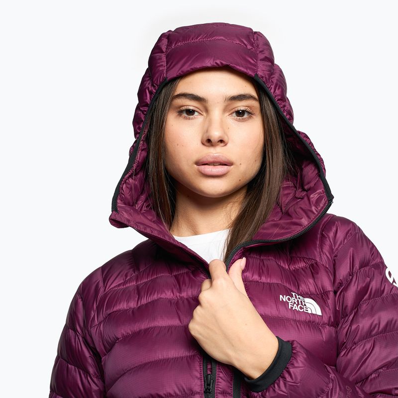 Damen Winterjacke The North Face Summit Breithorn Hoodie Boysenberry 3