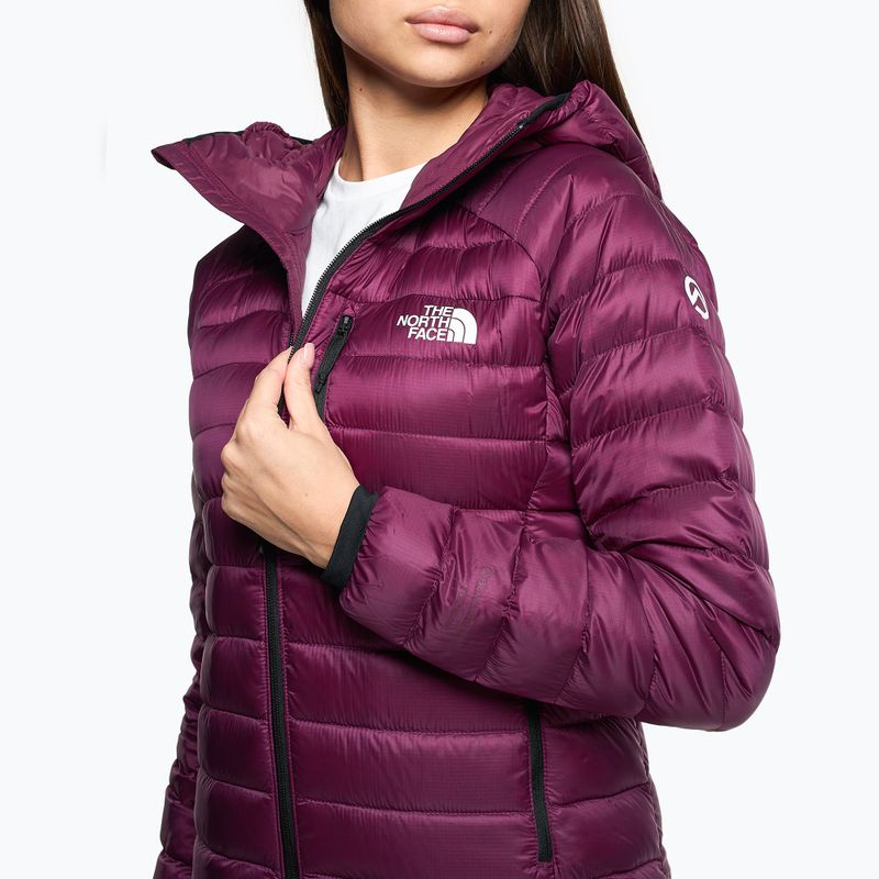 Damen Winterjacke The North Face Summit Breithorn Hoodie Boysenberry 4