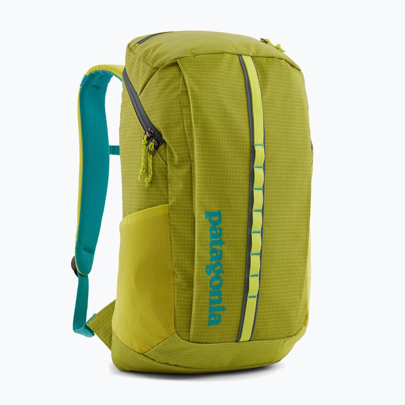 Touristischer Rucksack Patagonia Black Hole Pack 25 l phosphorus green