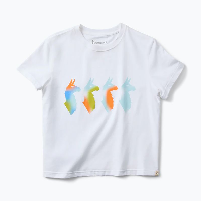 Damen-T-Shirt Cotopaxi Cuatro Bitmap white 5