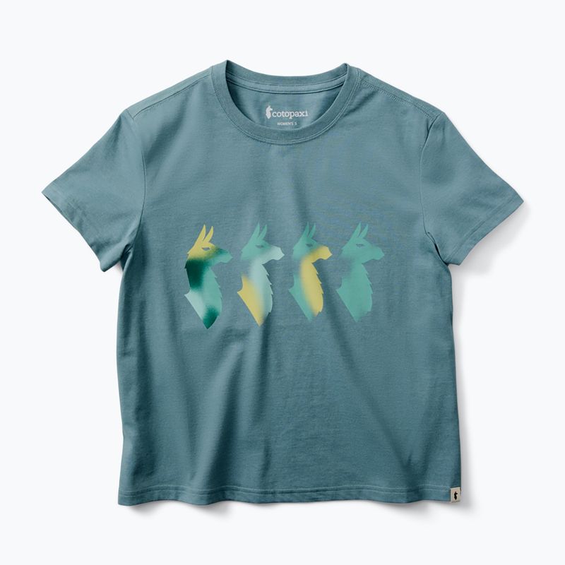 Damen-T-Shirt Cotopaxi Cuatro Bitmap everglade 5