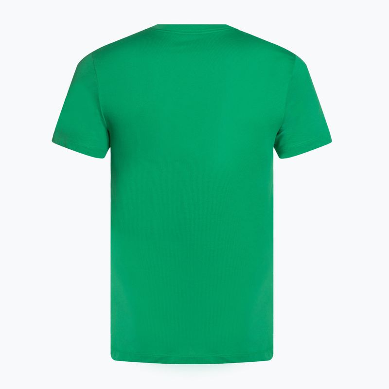 Tennis Shirt Herren Nike Court Dri-Fit Heritage stadium green 2