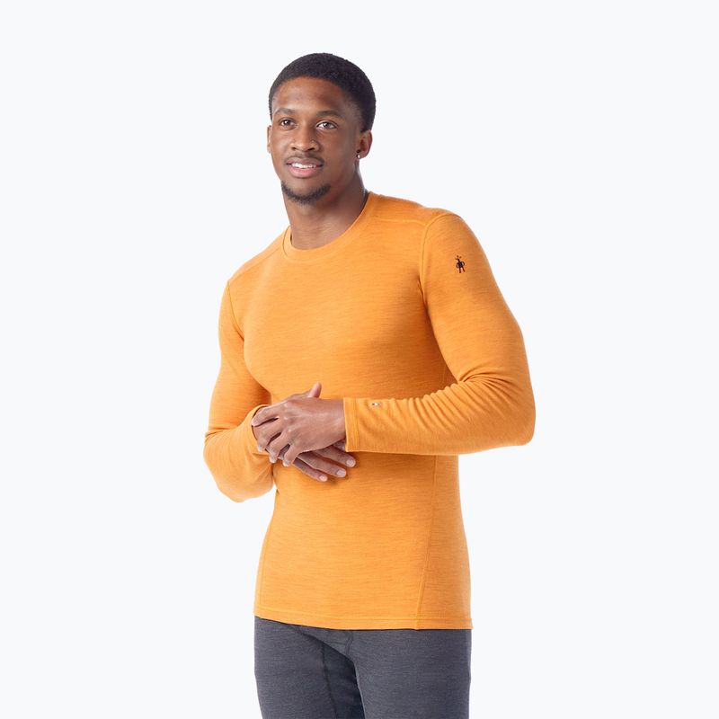 Herren Smartwool Merino 250 Baselayer Crew Boxed Thermo-Longsleeve Marmalade Heidekraut