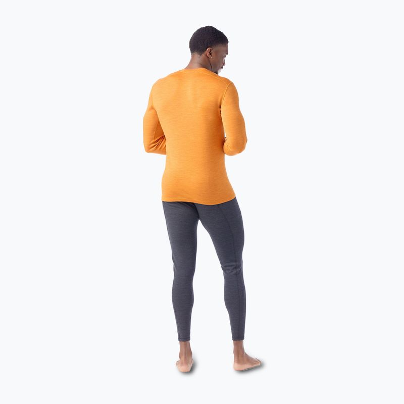 Herren Smartwool Merino 250 Baselayer Crew Boxed Thermo-Longsleeve Marmalade Heidekraut 2