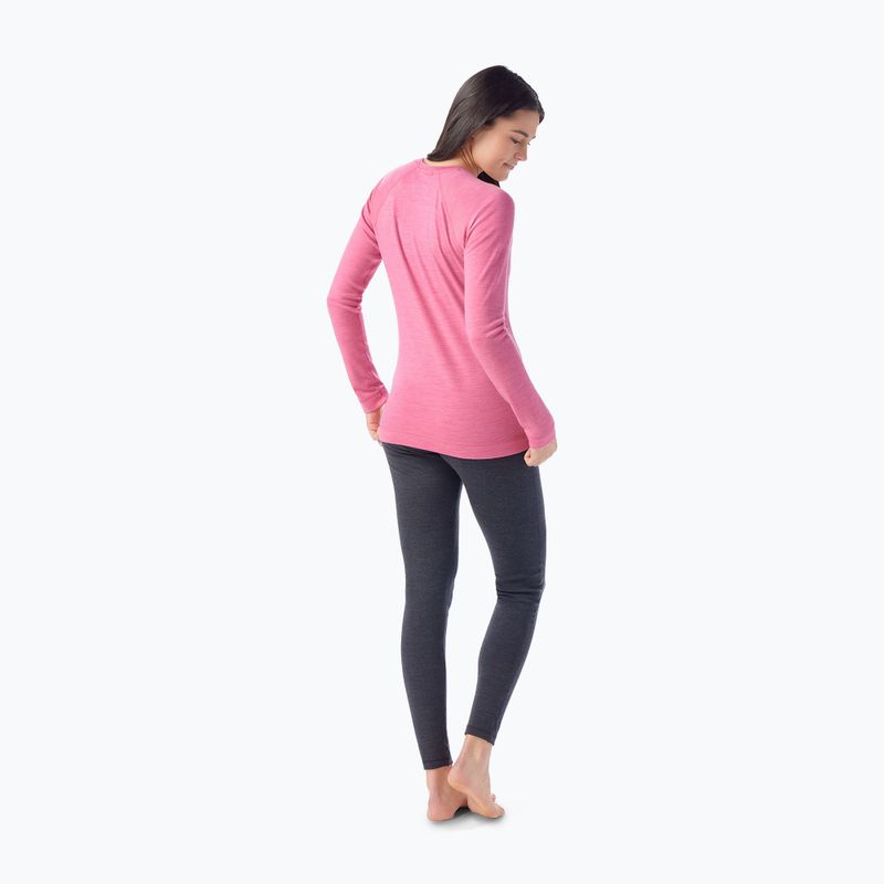 Frauen Smartwool Merino 250 Baselayer Crew Boxed Garten rosa Heidekraut thermische Longsleeve 2