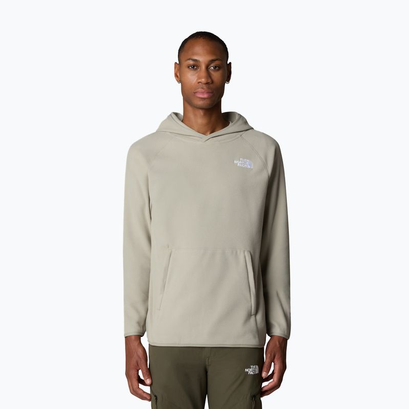 Herren Sweatshirt The North Face 100 Glacier Hoodie Ton grau