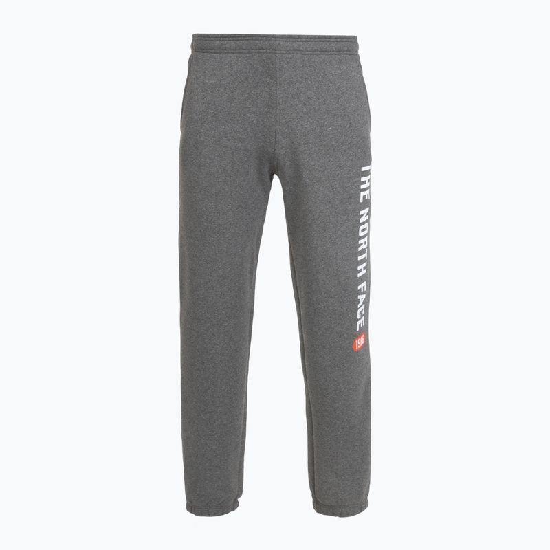 Herrenhose The North Face Varsity Graphic mittelgrau heather