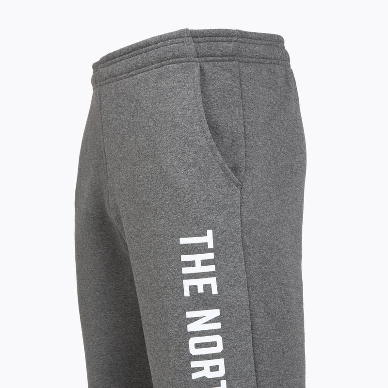 Herrenhose The North Face Varsity Graphic mittelgrau heather 3
