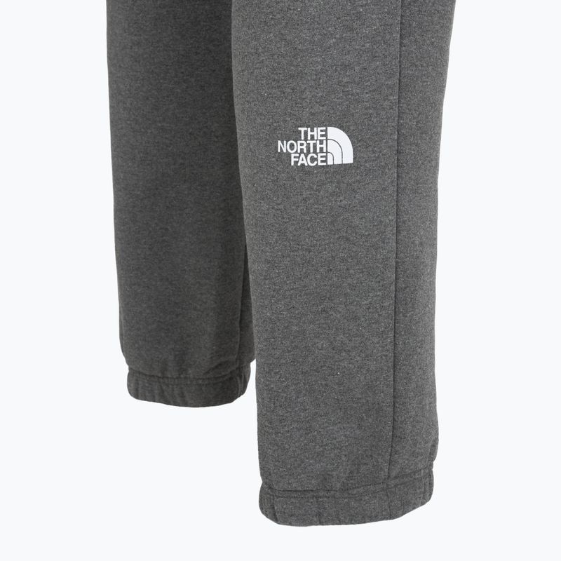 Herrenhose The North Face Varsity Graphic mittelgrau heather 4