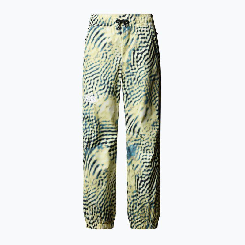 Skihose Herren The North Face Build Up nettle the lift print 4