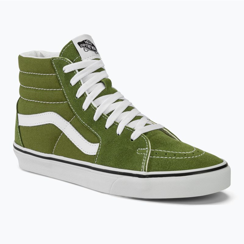 Vans SK8-Hi Theorie Pesto Schuhe