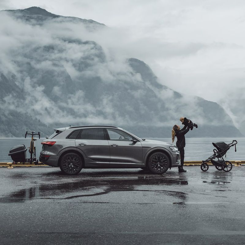 Hängebox Thule Santu black 5