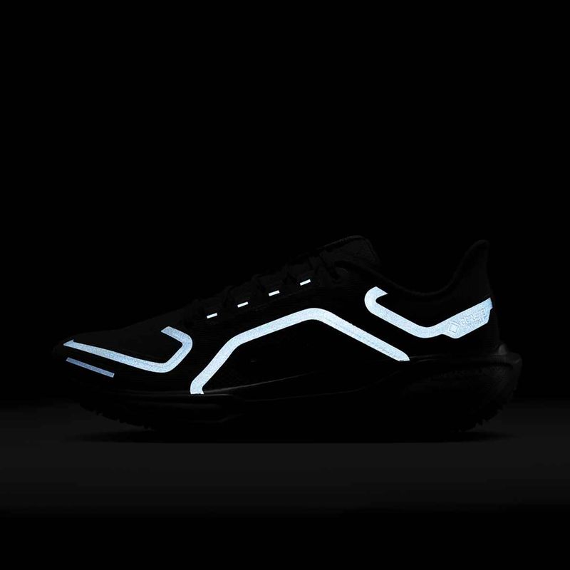 Herren-Laufschuhe Nike Pegasus 41 GTX black/anthracite/black 10