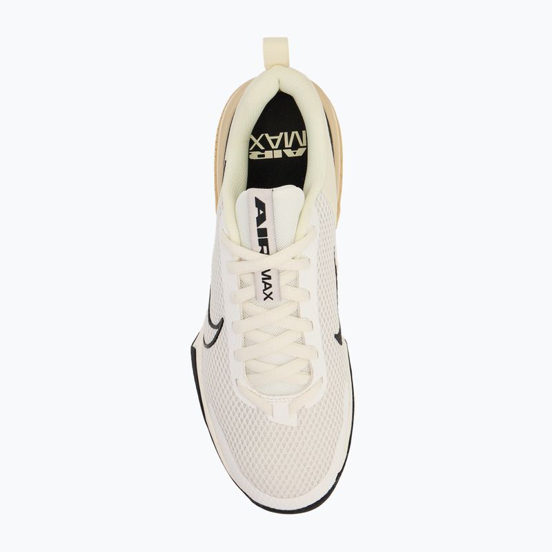 Training Sportschuhe Herren Nike Air Max Alpha Trainer 6 sail/coconut milk/team gold/black 5