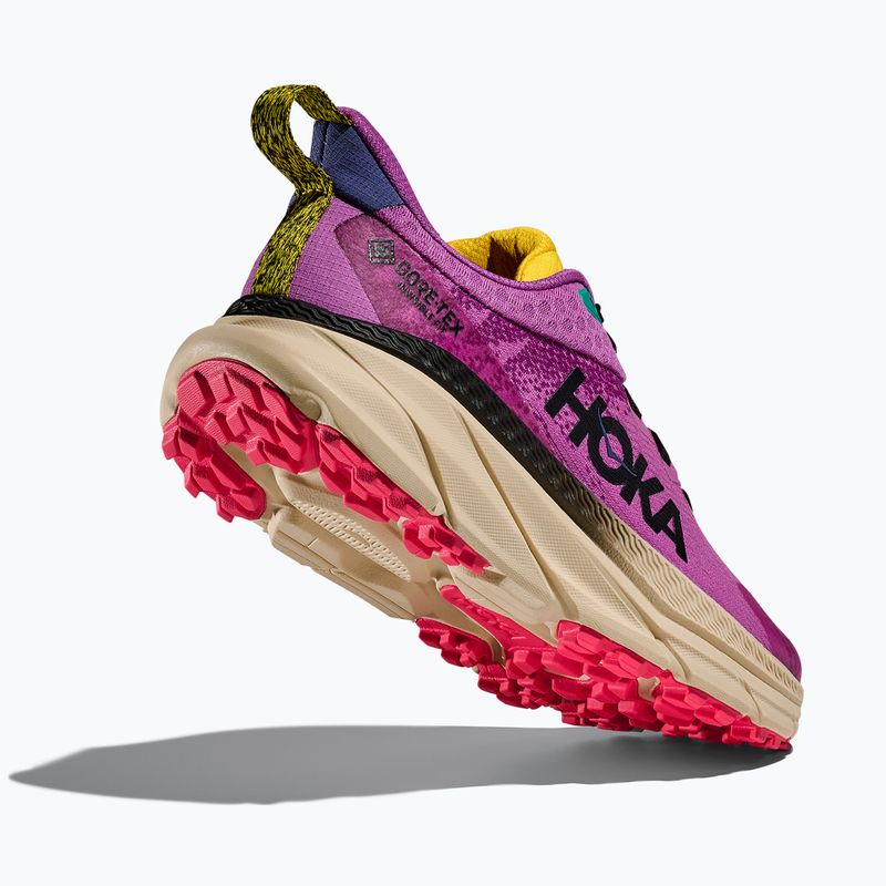 Laufschuhe Damen HOKA Challenger 7 GTX superbloom/oatmeal 5