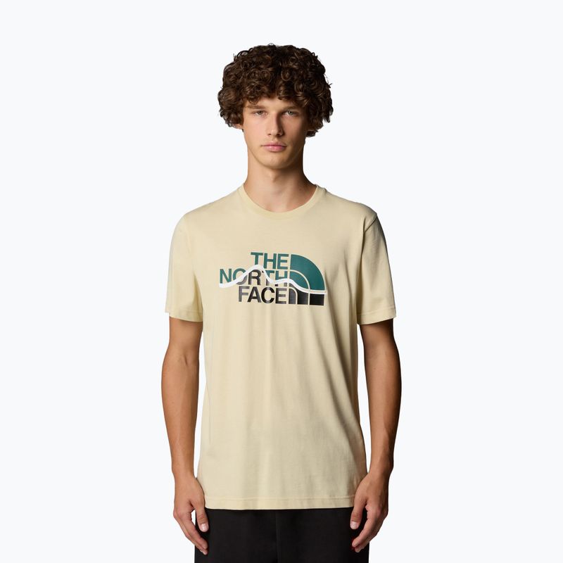 Shirt Herren The North Face Mountain Line Tee gravel