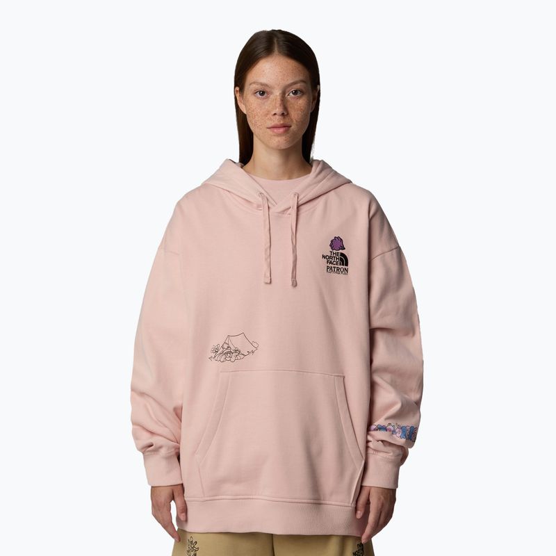 The North Face Mountain Cleanup über Hoodie rosa Moos