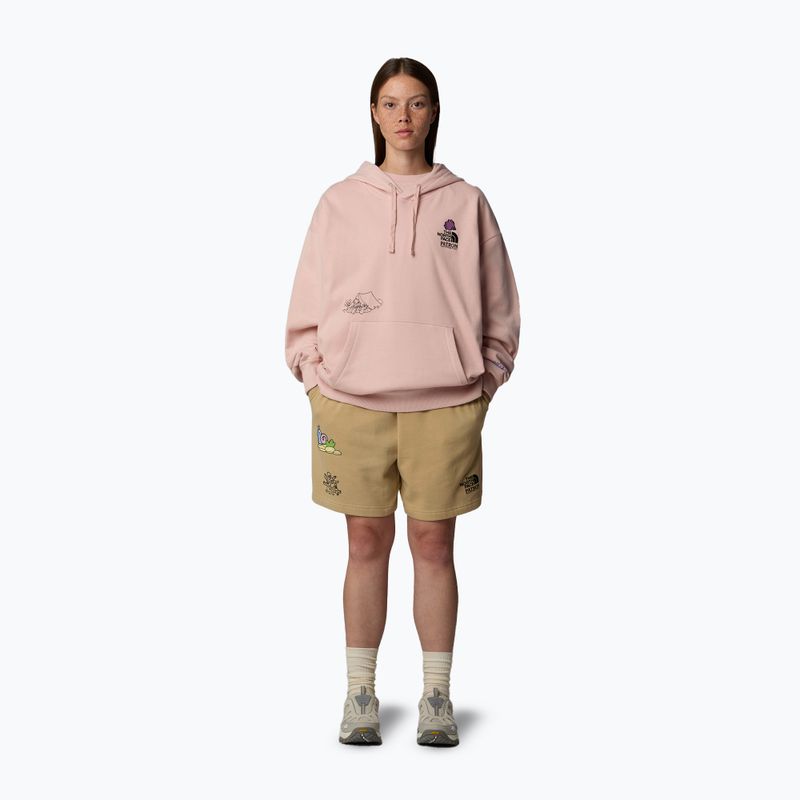 The North Face Mountain Cleanup über Hoodie rosa Moos 2
