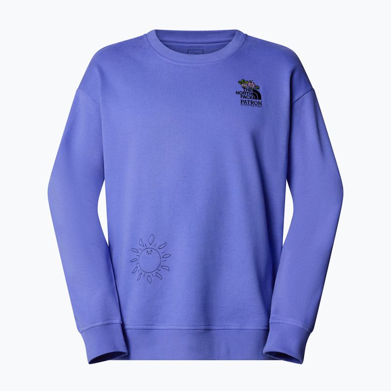 The North Face Mountain Cleanup Sweatshirt über virtuelle blau 4