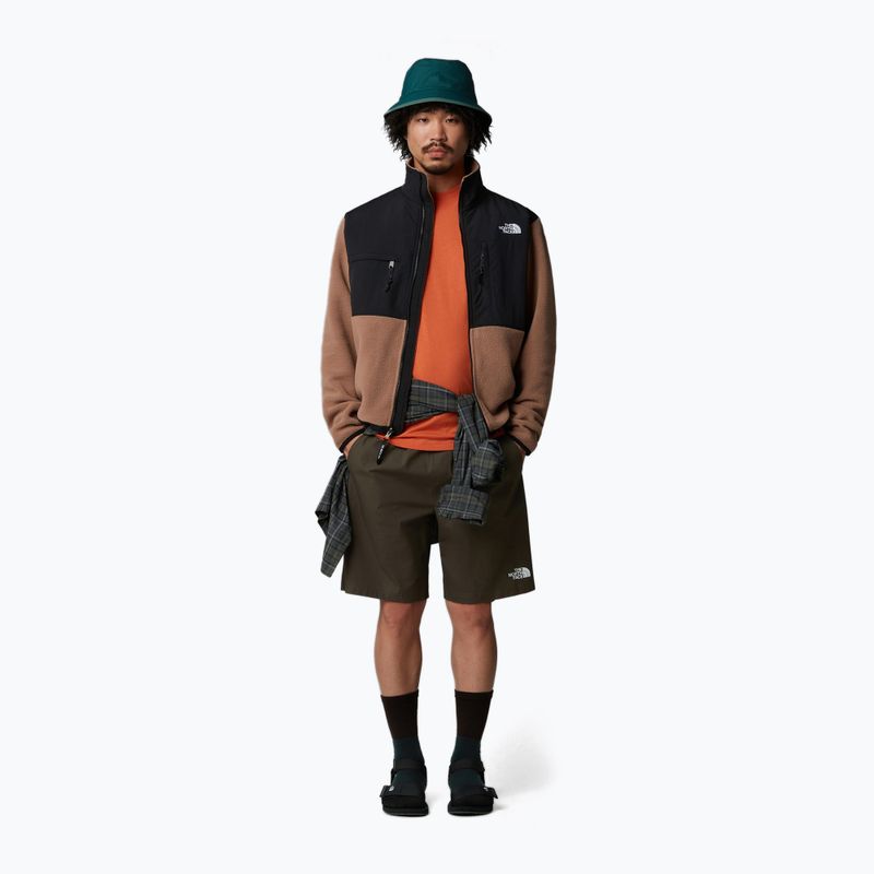 Herren-Shorts The North Face Limestone new taupe green 2