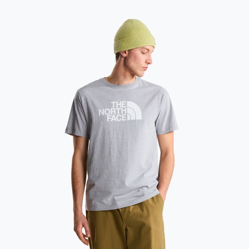 Herren-Shirt The North Face Evolution Half Dome tnf pale grey heather