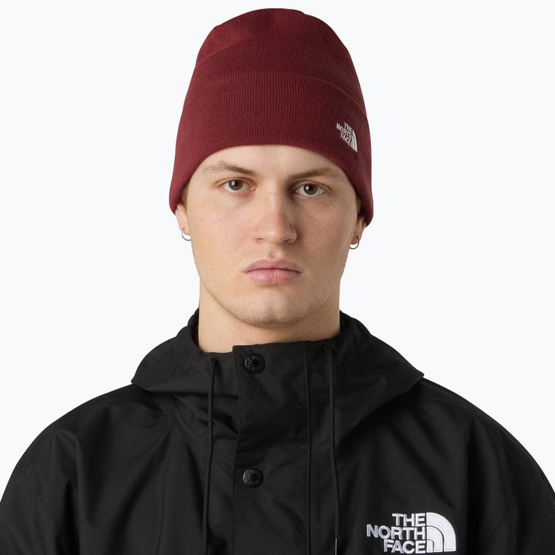 Wintermütze The North Face Norm Beanie sumac 3