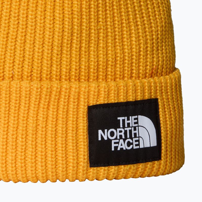 The North Face Salzige gefütterte Wintermütze 2