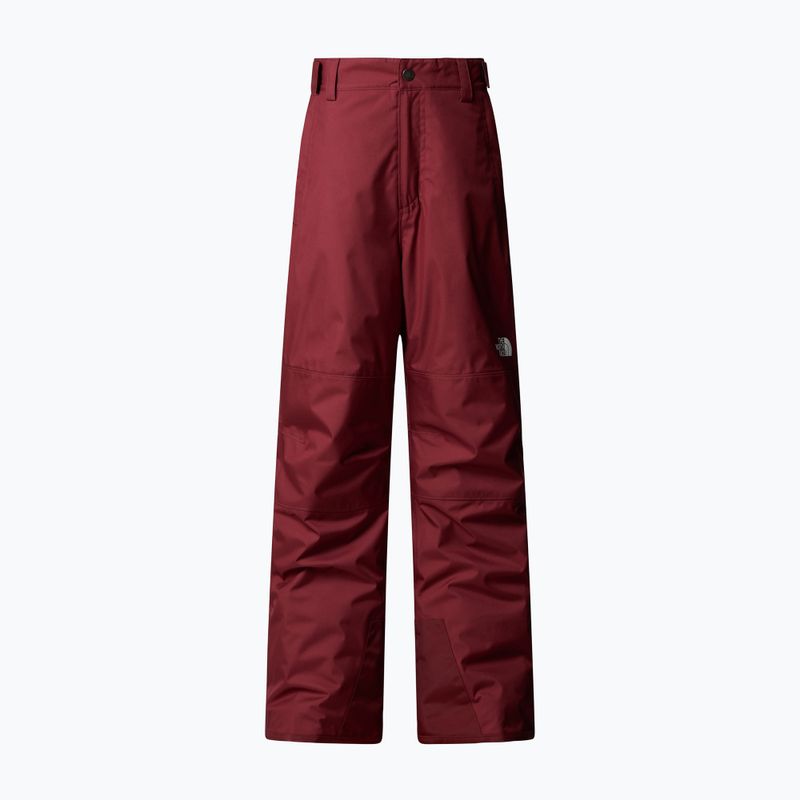 Skihose Kinder The North Face Freedom Insulated sumac 4