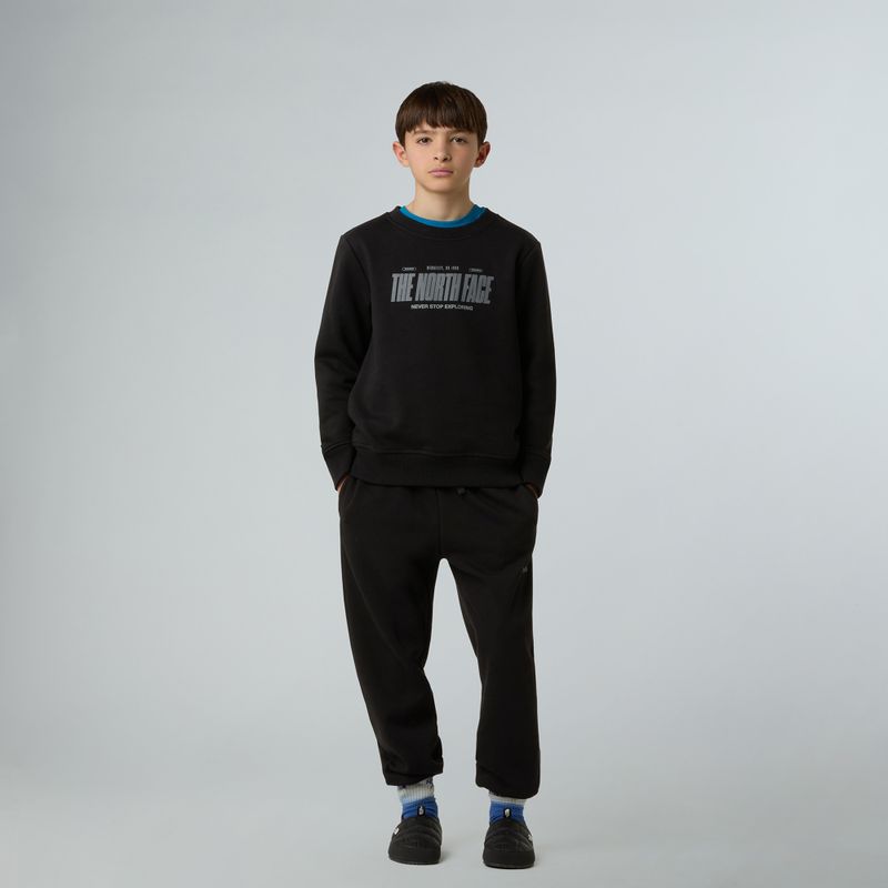 Hoodie Sweatshirt Herren The North Face Reflective Logo Relaxed Crew black 2