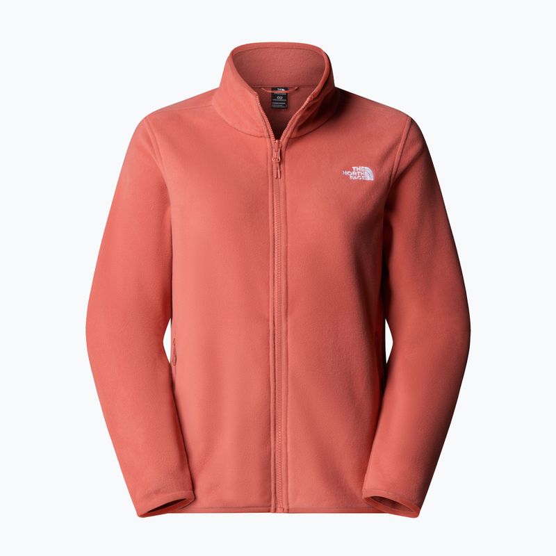 Fleece Hoodie Sweatshirt Damen The North Face Glacier Fleece mars dust 5