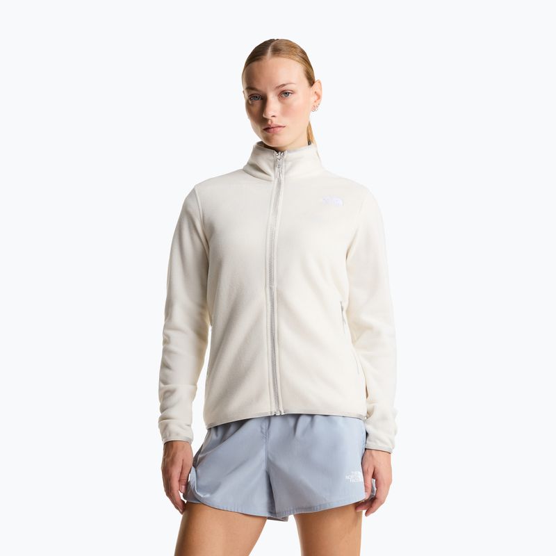 Fleece Hoodie Sweatshirt Damen The North Face Glacier Fleece white dune