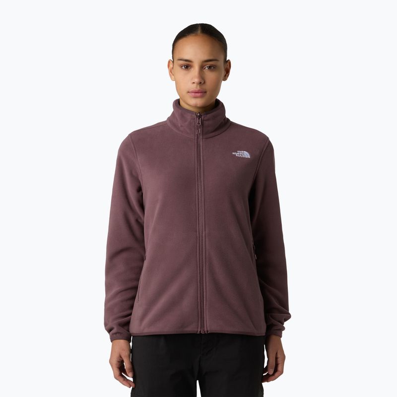 Damen-Fleece-Sweatshirt The North Face Glacier Fleece gelbbraun quarz