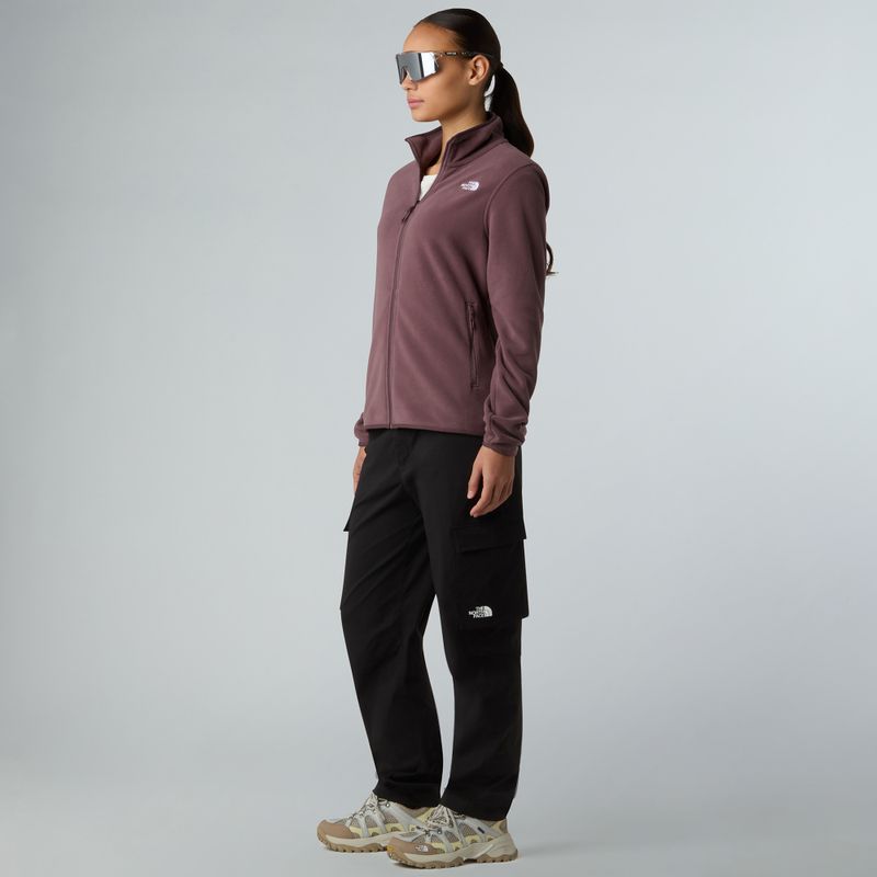 Damen-Fleece-Sweatshirt The North Face Glacier Fleece gelbbraun quarz 2