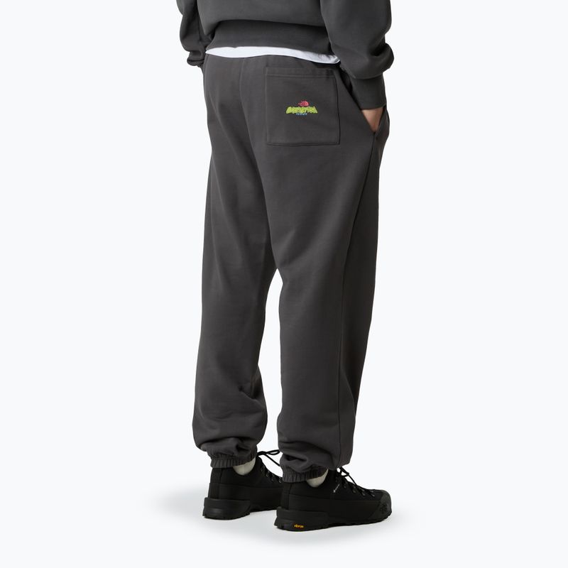 Hose Herren The North Face Expedition Celebration Relaxed Jogger Reg anthracite grey 3