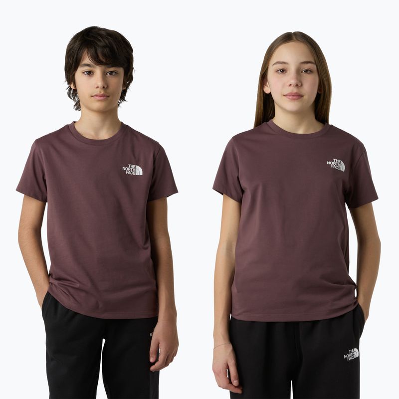 Kinder-T-Shirt The North Face Simple Dome tawny quartz 3