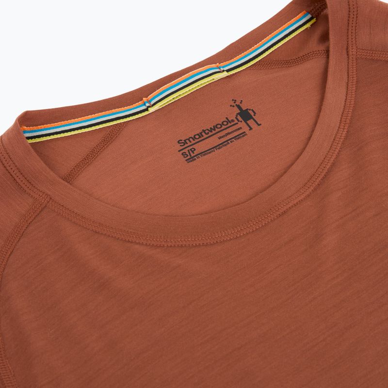 Funktionsshirt Herren Smartwool Merino Sport 120 burnt sienna 3