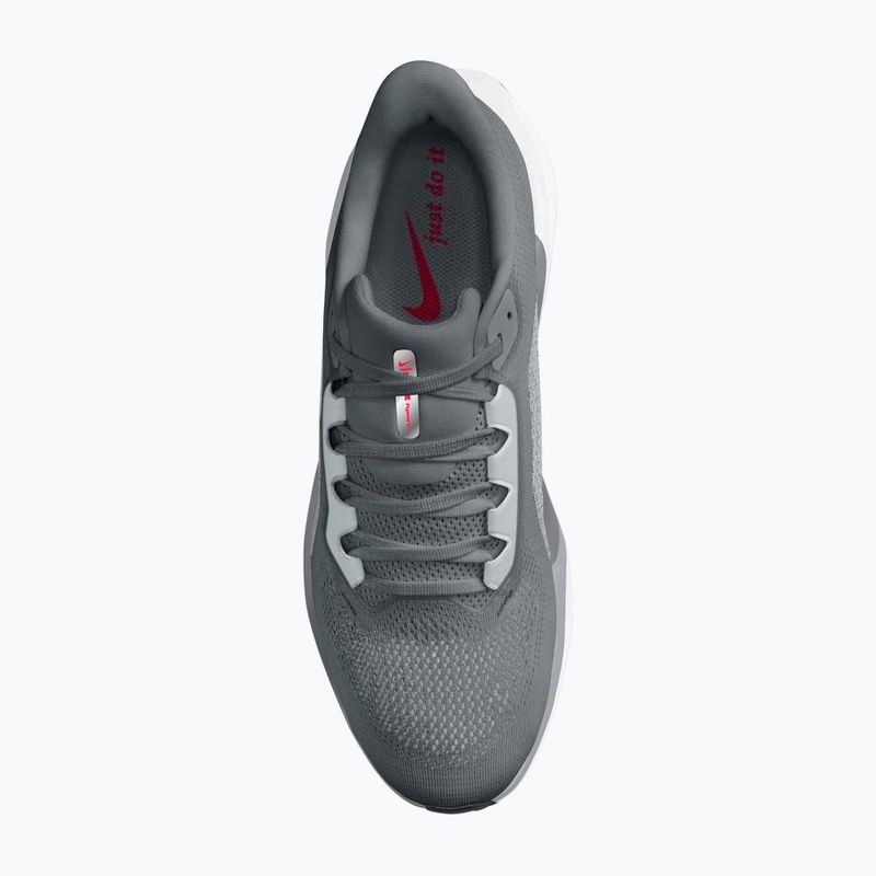 Herren-Laufschuhe Nike Pegasus 41 cool grey/wolf grey/pure platinum/bright crimson 6