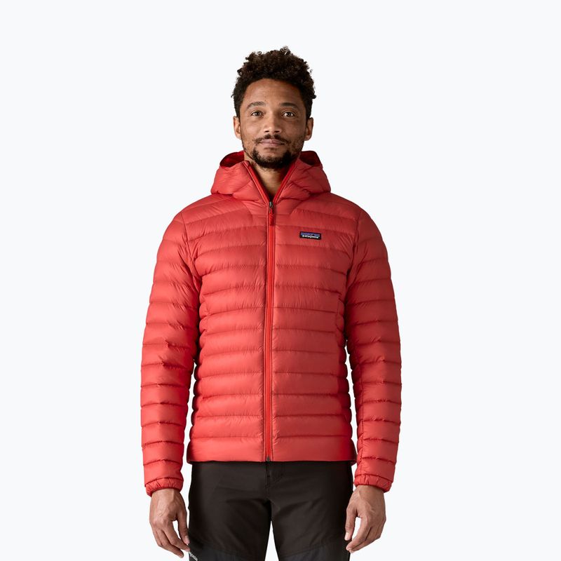 Herren Daunenjacke Patagonia Down Sweater Hoody amanita red