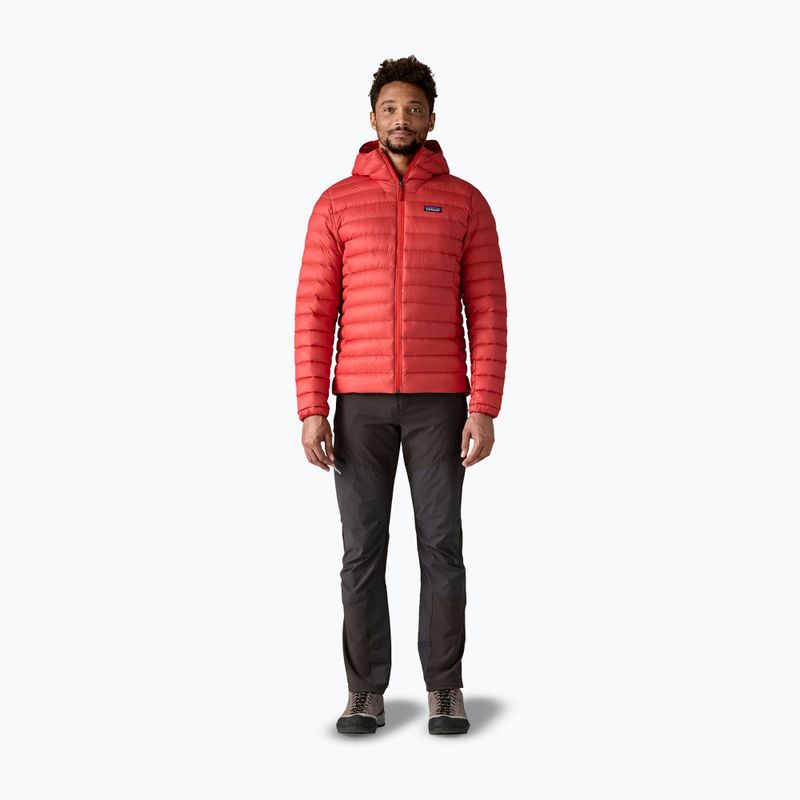 Herren Daunenjacke Patagonia Down Sweater Hoody amanita red 2
