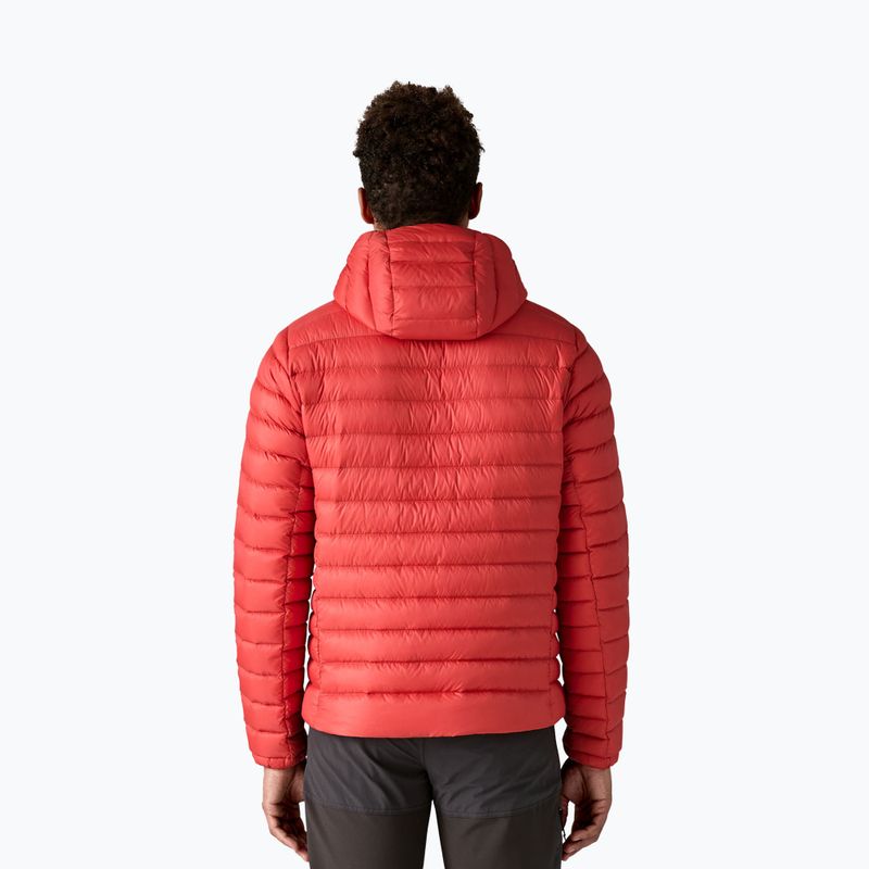 Herren Daunenjacke Patagonia Down Sweater Hoody amanita red 3